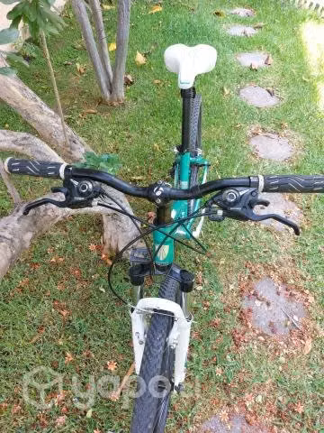 Bicicleta MTB