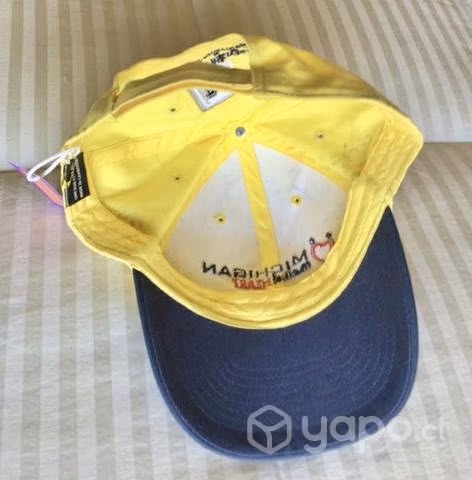 Snapback /Gorro Baseball -Michigan From The Heart