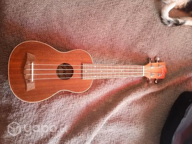 Ukelele con estuche