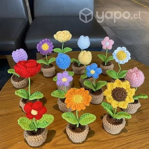 Flores eternas para la Persona especial
