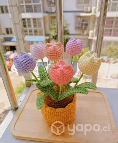 Flores eternas para la Persona especial