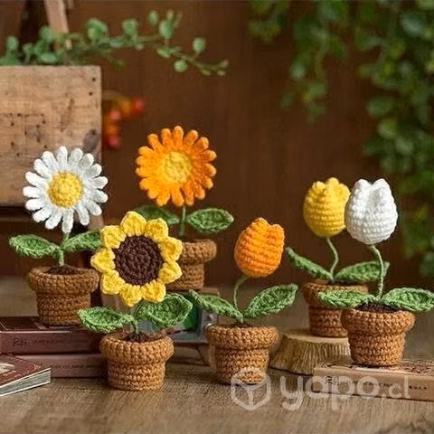 Flores eternas para la Persona especial