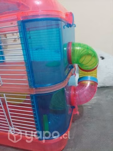 Jaula hamster