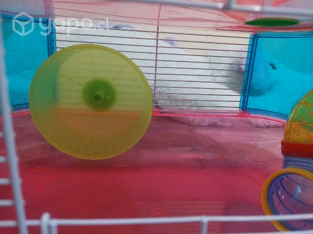 Jaula hamster