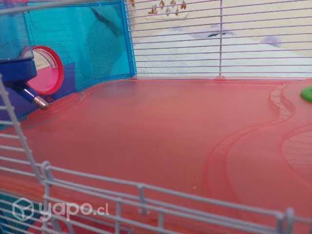 Jaula hamster
