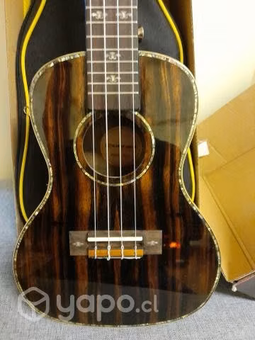 Ukelele completamente nuevo