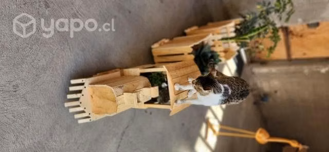 Lindo tren portamacetero nuevo