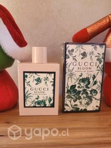 Gucci bloom