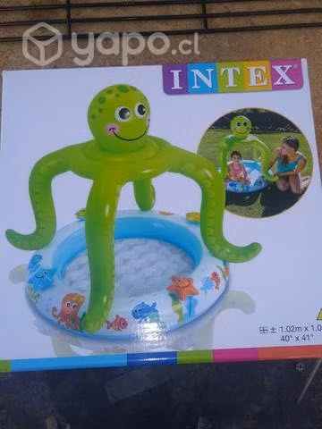 Piscina pulpo