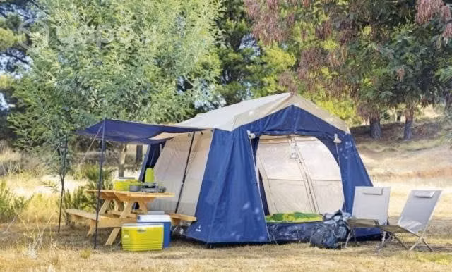 Carpa - Imagen 2