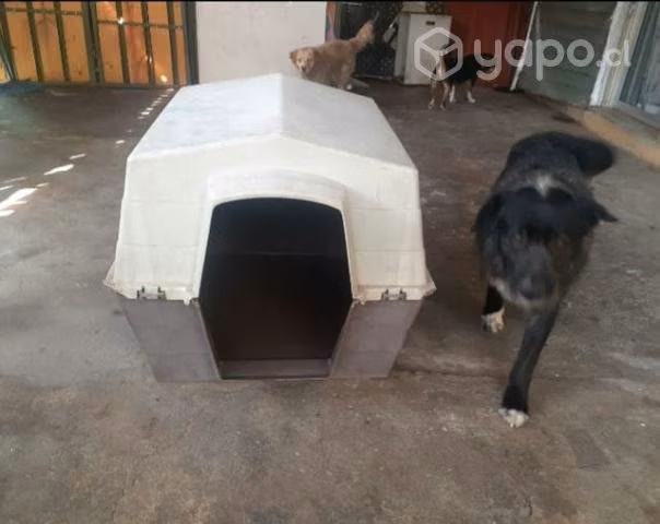 Casa para Perro Grande - Imagen 2