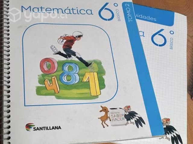 Libros de matemáticas 6º Santillana