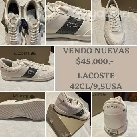 Zapatilla Lacoste