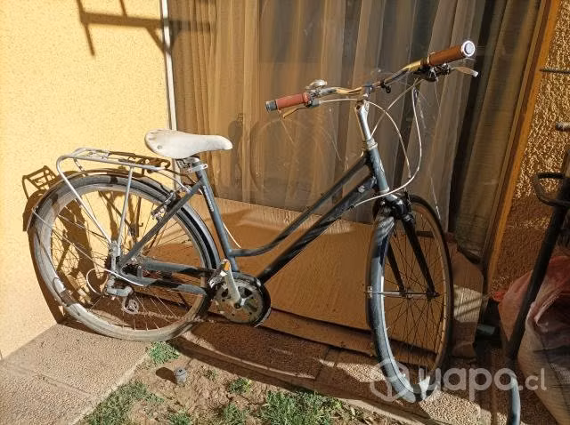 Bicicleta gama adulto