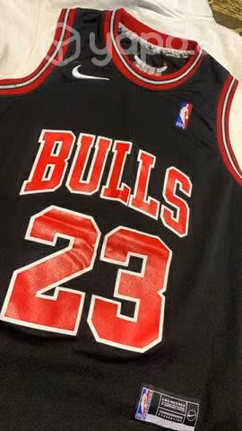 Polera jordan x nba