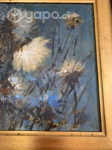 Cuadros en oleo