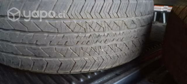 Neumaticos camioneta