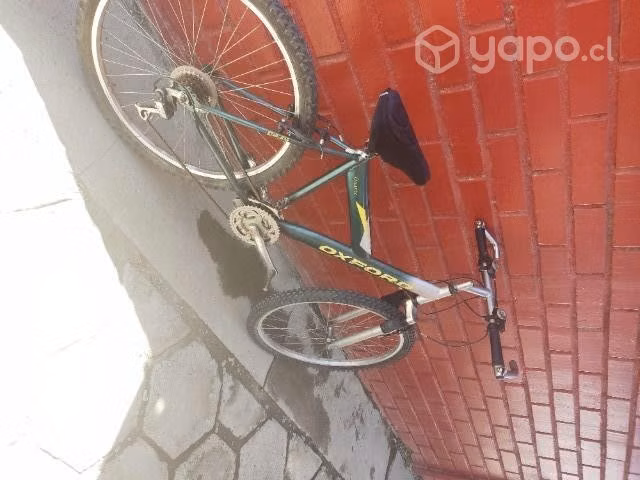 Bicicleta convencional y elíptica