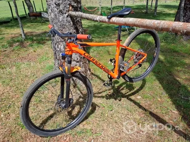 Bicicleta cannondale - Imagen 2