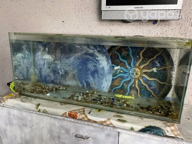Acuario grande