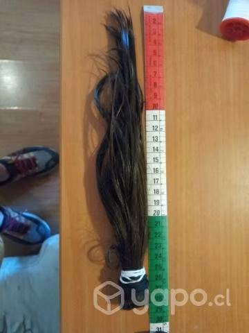 Colita de colita de caballo niño