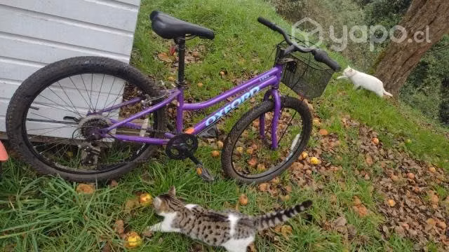 Bicicleta - Imagen 3