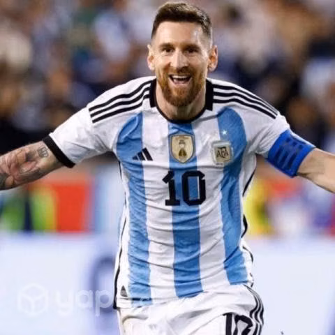 Cuadro messi qatar 2022 - Imagen 2