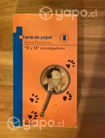 R y M Investigadores