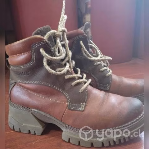 Zapatos Cat