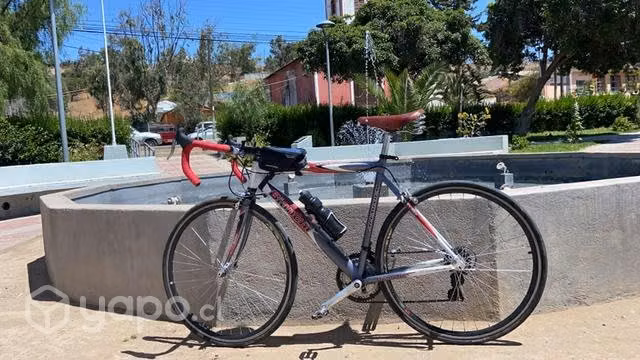 Bianchi rutera