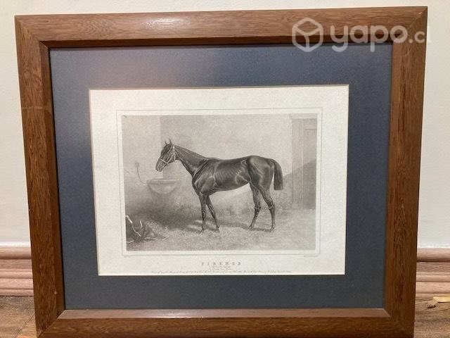 Cuadro caballo
