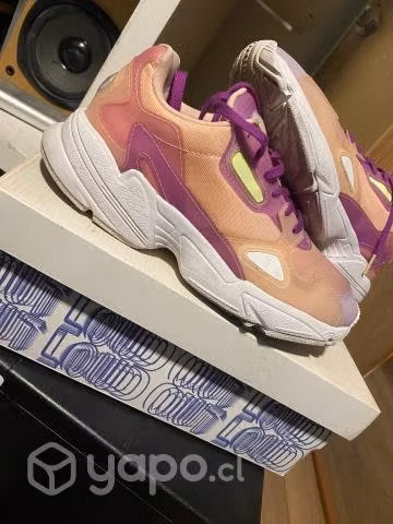 Adidas falcon