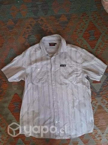 Polerón, Blue Jeans y Camisas