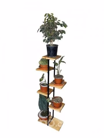 Pedestal para plantas