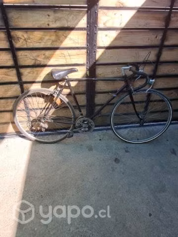 Bicicleta pistera