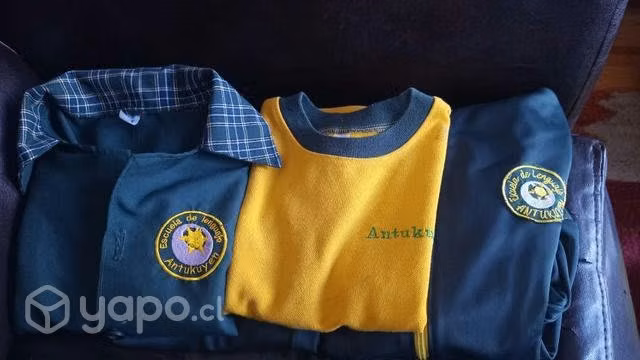 Buzo de escuela de lenguaje antukuyen