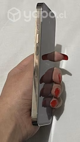 IPhone 13 Pro 256 g batería 100% como nuevo