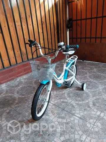 Bicicleta Bianchi Aro 12