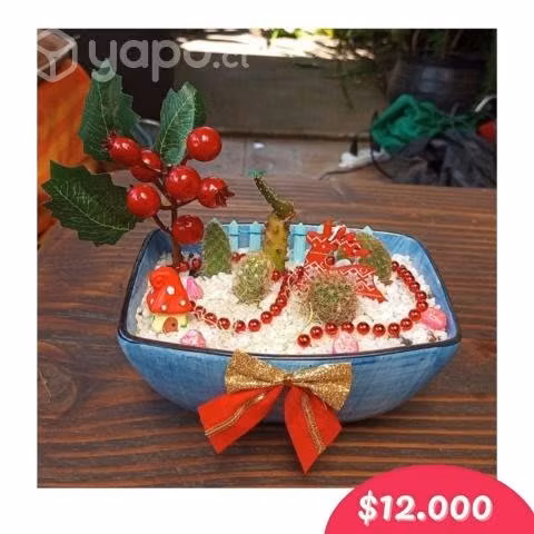 Lindos arreglos con plantas para esta navidad
