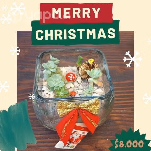 Lindos arreglos con plantas para esta navidad