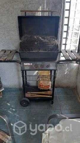 Parrilla a carbon - Imagen 3
