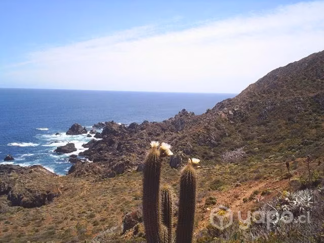 Sitio costero comuna Ovalle loteo Costadorada