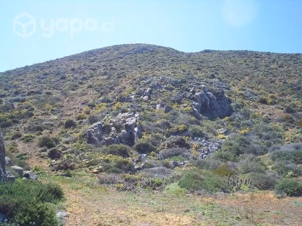 Sitio costero comuna Ovalle loteo Costadorada