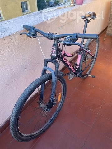 Bicicleta oxford