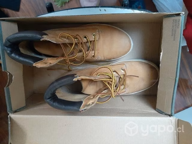 Zapatillas/zapatos Timberland