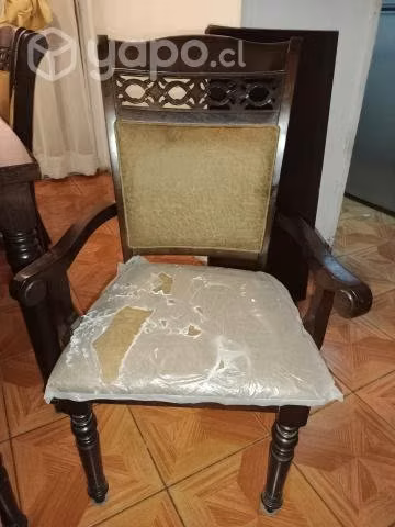 Comedor cic