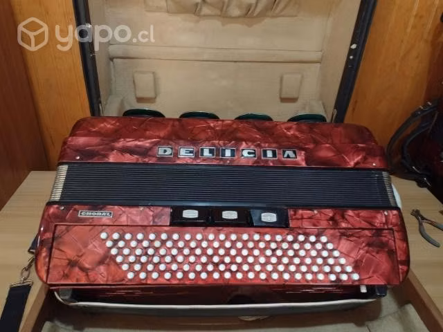 Acordeon Delicia 120 Bajos - Imagen 4