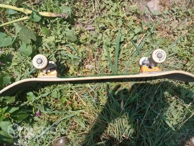 Skate pill gato
