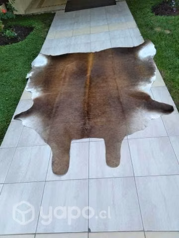 Alfombras finas importadas, curtidas al cromo