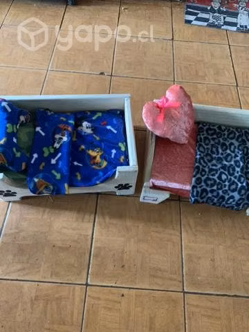 Camitas para perrit y gatit